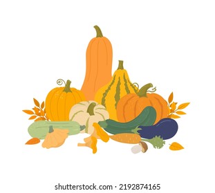 Autumn organic vegetables flat vector illustration. Harvest of pumpkin, zucchini, squash, patisson, eggplant, mushrooms. Healthy food. Thanksgiving design. Farmers market