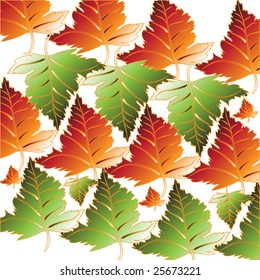 Autumn ornament with maple leaves