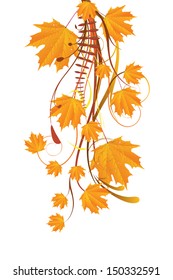 Autumn ornament with orange maple leaves on white background.