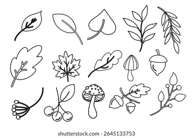 Colección de Elementos forestales de contorno de otoño. Clipart forestal