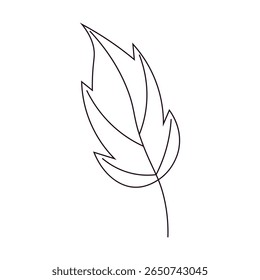 Autumn  outline leaf. stylized autumn leaf
