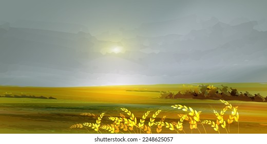 Autumn panoramic view. Golden ears of wheat.  Picturesque abstract landscape. Vibrant vector background suitable for booklets, web, brochures, flyers.