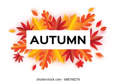 Autumn Paper Cut Leaves. Hello Autumn. September flyer template. Rectangle frame. Space for text. Origami Foliage. Maple, oak. Fall poster. White background. Vector