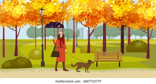 Autumn Park Young woman walks with dog, yellow orange red foliage trees, walkway bench. Fall mood outdoor cityscape. Vector isolated illustration isolated