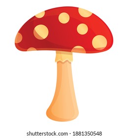 Autumn party forest red mushroom icon. Cartoon of autumn party forest red mushroom vector icon for web design isolated on white background