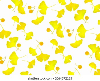 Autumn patien on a white background of yellow ginkgo leaves and orange nut. Botanical illustration of arector with a watercolor texture.