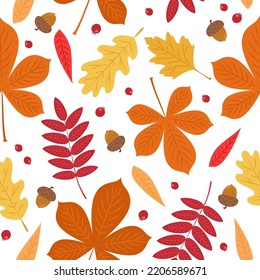 Herbstmuster mit süßen Blättern, Beeren und Eicheln. Nahtloser Hintergrund, Vektorgrafik auf flachem Cartoon-Stil