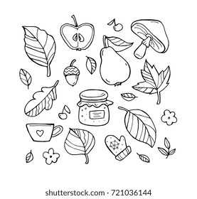 Autumn pattern. Harvest. Fruit, berries, leaves. Happy thanksgiving day. Set collection. Vector artwork. Black and white, monochrome. Coloring book page for adult. Banner, print. Zentangle doodle icon