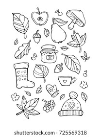 Autumn pattern. Harvest. Fruit, berries, leaves. Happy thanksgiving day. Set collection. Vector artwork. Black and white, monochrome. Coloring book page for adult. Banner, print. Zentangle doodle icon