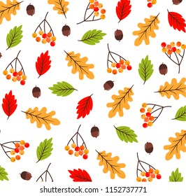 Autumn pattern with leaf, autumn leaf background. Abstract leaf texture. 