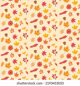 Autumn pattern with leaves. Autumn background with maple and oak leaves. Vector background.