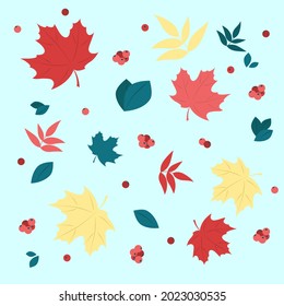 autumn pattern of leaves and berries