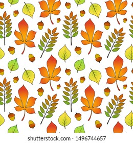 Autumn pattern with leaves. Colorful seamless pattern. Nature background. Vector