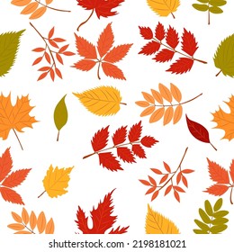 autumn pattern with autumn leaves. Autumn pattern for autumn design.