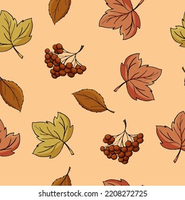 Autumn pattern. Leaves, fall. Vector illustration