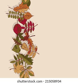 Autumn pattern. Pattern of autumn leaves. Red, yellow and green leaves of forest trees. Seamless Border.  Use as a background of the web page. Arrange on top of the text. Use as a greeting card.