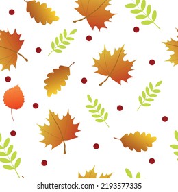 Autumn pattern with leaves. Vector illustration