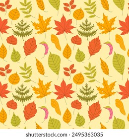 Autumn pattern with leaves. Vector illustration