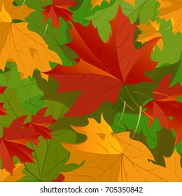 Autumn pattern with maple leaves.