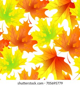 Autumn pattern with maple leaves.