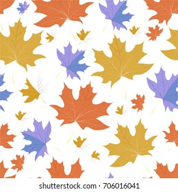 Autumn pattern with maple leaves.