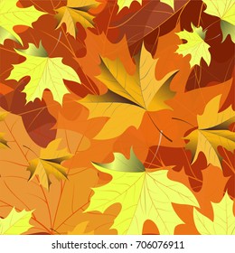 Autumn pattern with maple leaves.