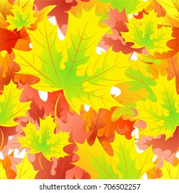 Autumn pattern with maple leaves.