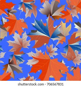 Autumn pattern with maple leaves.