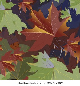 Autumn pattern with maple leaves.