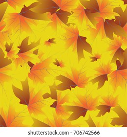 Autumn pattern with maple leaves.