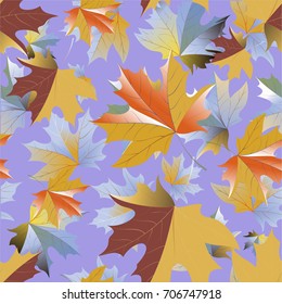 Autumn pattern with maple leaves.