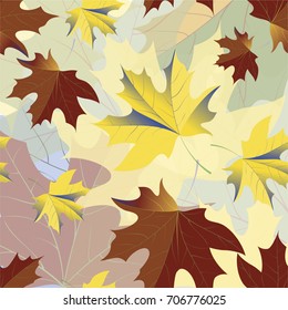 Autumn pattern with maple leaves.