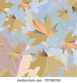 Autumn pattern with maple leaves.