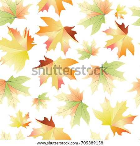 Autumn pattern with maple leaves.