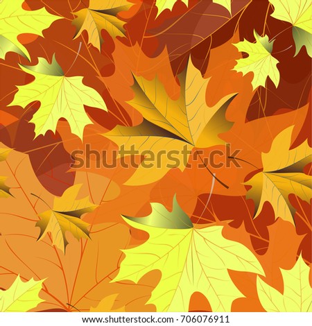 Autumn pattern with maple leaves.