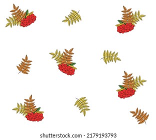 patrón de otoño con ramas de cenizas de montaña