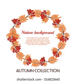 Autumn  pattern with rowan berries. Nature background. Vector illustration.