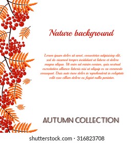 Autumn  pattern with rowan berries. Nature background. Vector illustration.