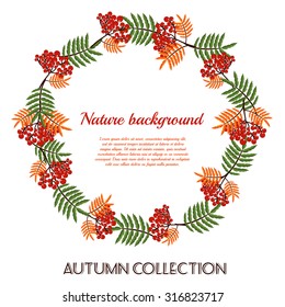 Autumn  pattern with rowan berries. Nature background. Vector illustration.
