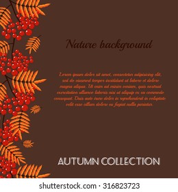 Autumn  pattern with rowan berries. Nature background. Vector illustration.