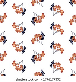 autumn pattern of a Rowan branch on a white background. Vector illustration