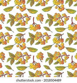 Autumn pattern of rowan clusters. Colorful botanical illustration with gradient fill. For printing on fabric, packaging, clothing, banners and postcards, etc. A vector image in a linear style.