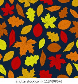 Autumn pattern. Seamless pattern with hand-drawn colorful leaves