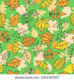 Autumn pattern, set of leaves, maple leaf, rowan leaf, oak leaf. Doodle, drawings, sketch. Autumn season. Contour vector illustration, seamless  texture. Background white isolated background.