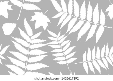 autumn pattern sheet seamless. Leaves of the fern. Pattern for the fabric. Fern print. Trend autumn pattern. Cloth shirt pattern. vector, eps 10 art