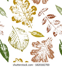 Patrón otoñal de hojas vectoriales. Fondo vintage para tarjetas de felicitación e invitaciones de otoño.