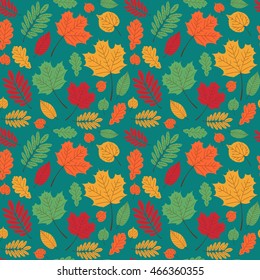 Autumn pattern vector seamless. Season background with maple, oak, rowan, aspen and elm tree leaves. Unique print with yellow, red, green and orange decoration.