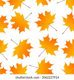 Herbstmuster gelb aus Ahornblättern, Vektorgrafik gezeichnet