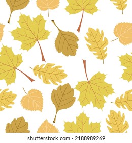 Autumn pattern,leaves of maple,oak,birch trees on a white background.Vector pattern can be used in textiles, postcards, autumn store designs.