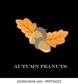Autumn peanuts on background. Flat and cartoon style.